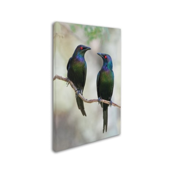 Jacqueline Hammer 'Beautiful Couple' Canvas Art,30x47